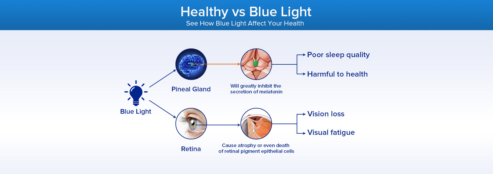 10W LED Desk Lamp with no blue light